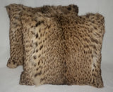 Geoffrey Cat Pillows - a Pair